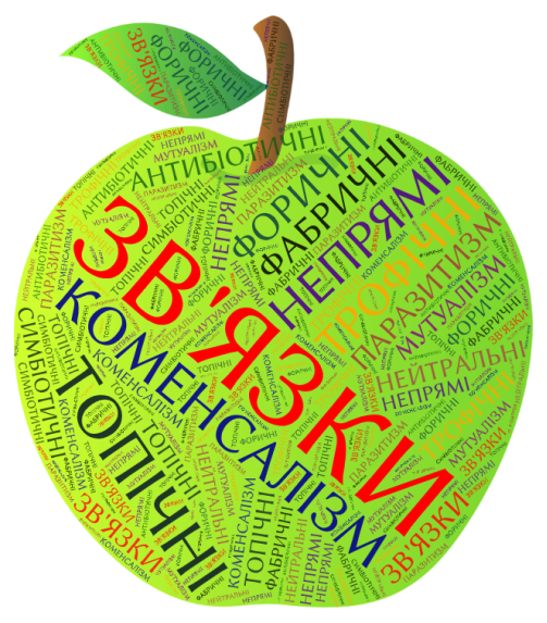 C:\Users\Оксана\Downloads\Untitled 3 (6).png